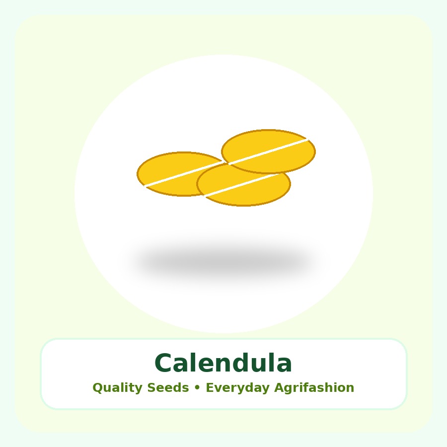 Calendula Seeds 250 Seeds