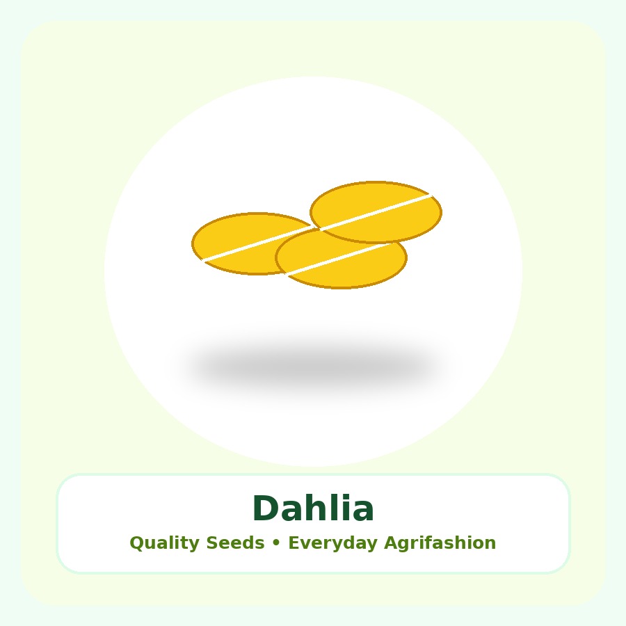 Dahlia Seeds 100 Seeds