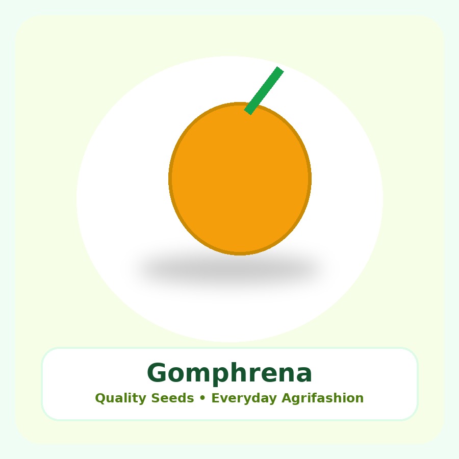 Gomphrena Seeds 25 Seeds