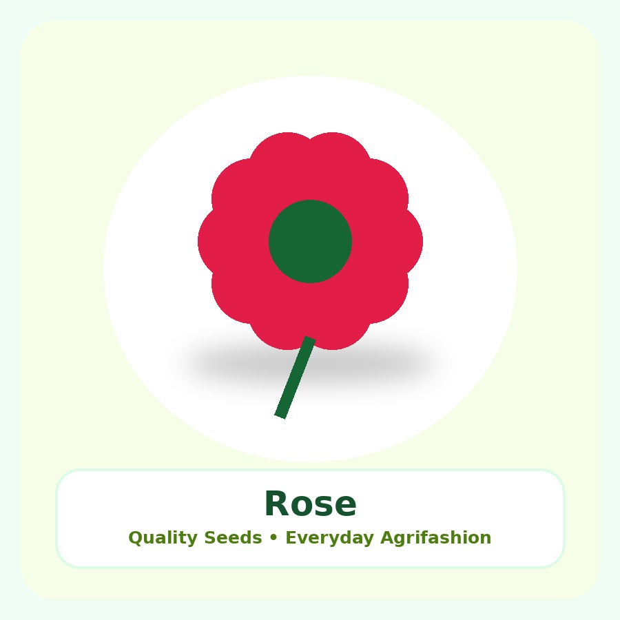 Rose Seeds 250 Seeds