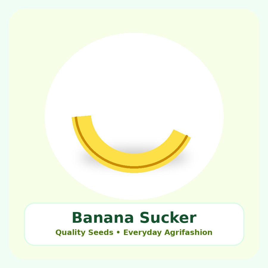 Banana Sucker Seeds 50 Seeds