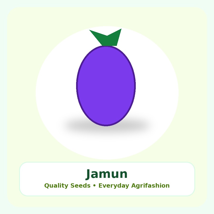 Jamun Seeds 50 Seeds