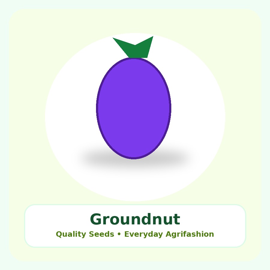 Groundnut Seeds 10kg