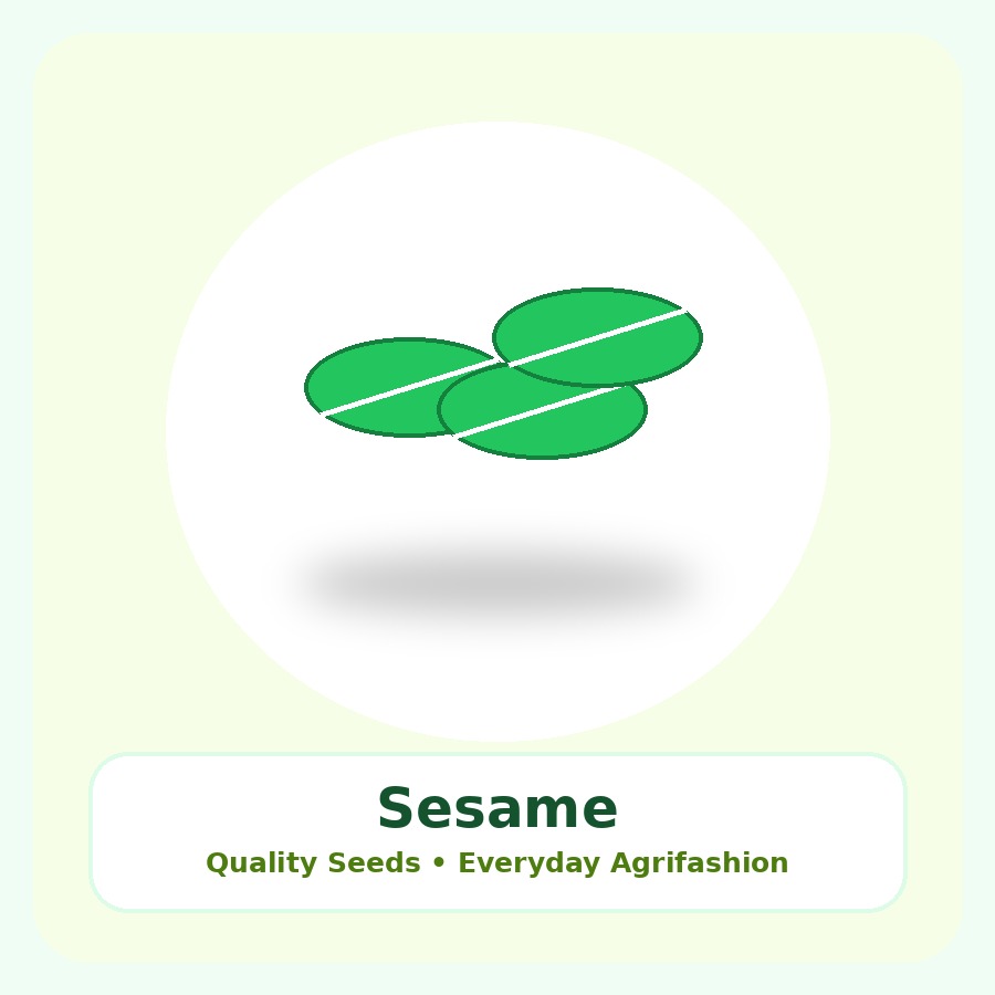 Sesame Seeds 10kg