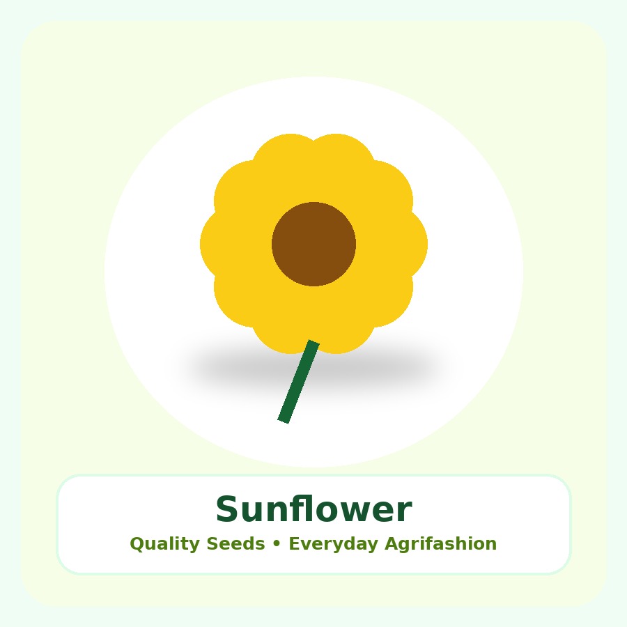 Sunflower Seeds 500g