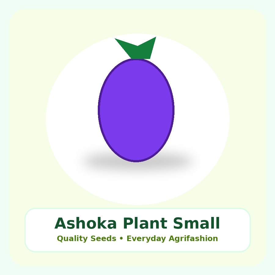 Ashoka Plant Small Nursery Bag