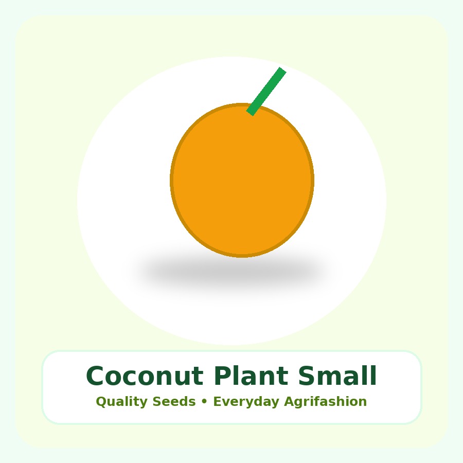 Coconut Plant Small Nursery Bag