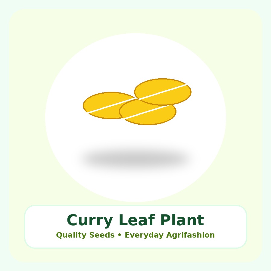 Curry Leaf Plant Small Nursery Bag