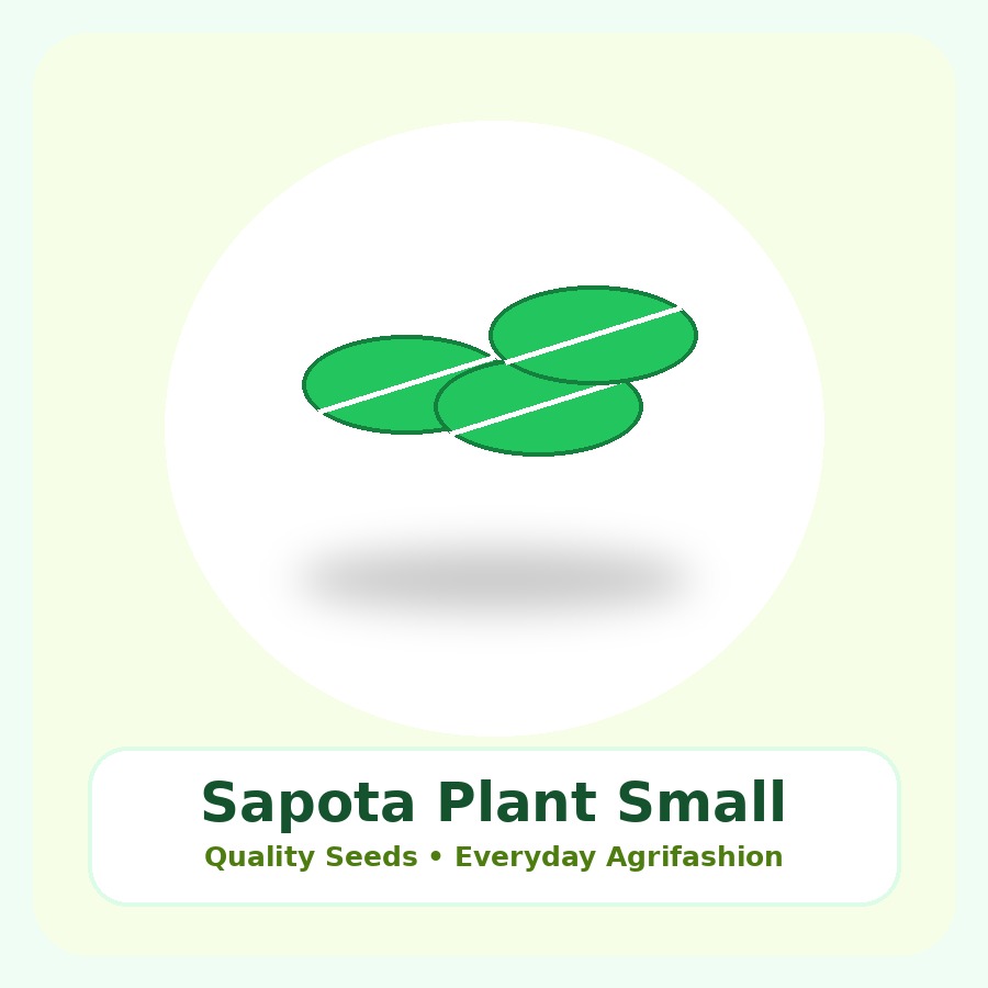 Sapota Plant Small Nursery Bag