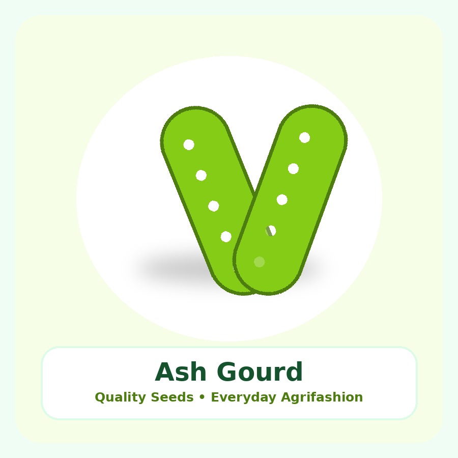Ash Gourd Seeds 50g