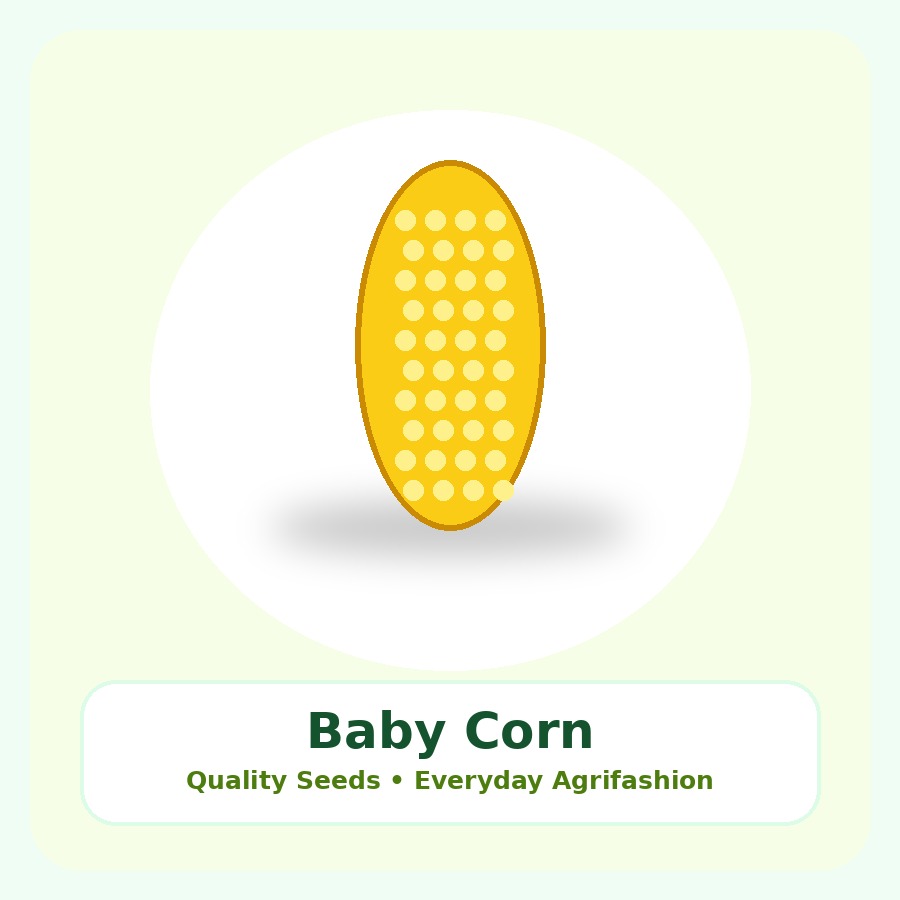 Baby Corn Seeds 50g