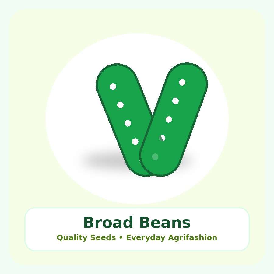 Broad Beans Seeds 25g