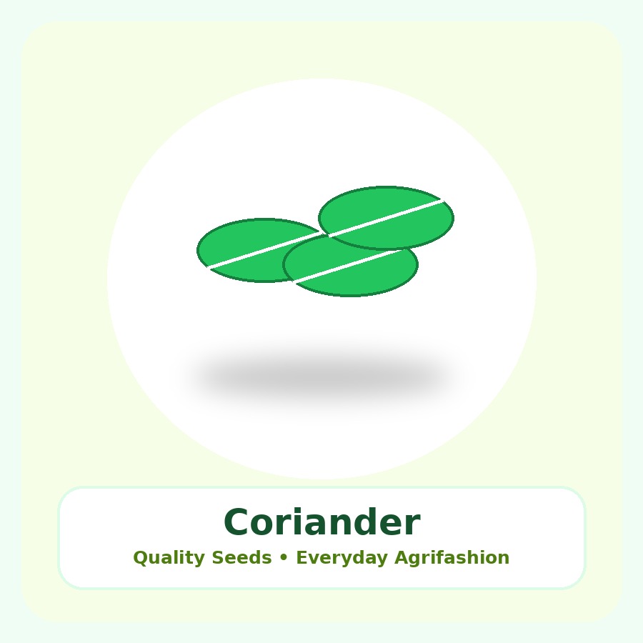 Coriander Seeds 500g