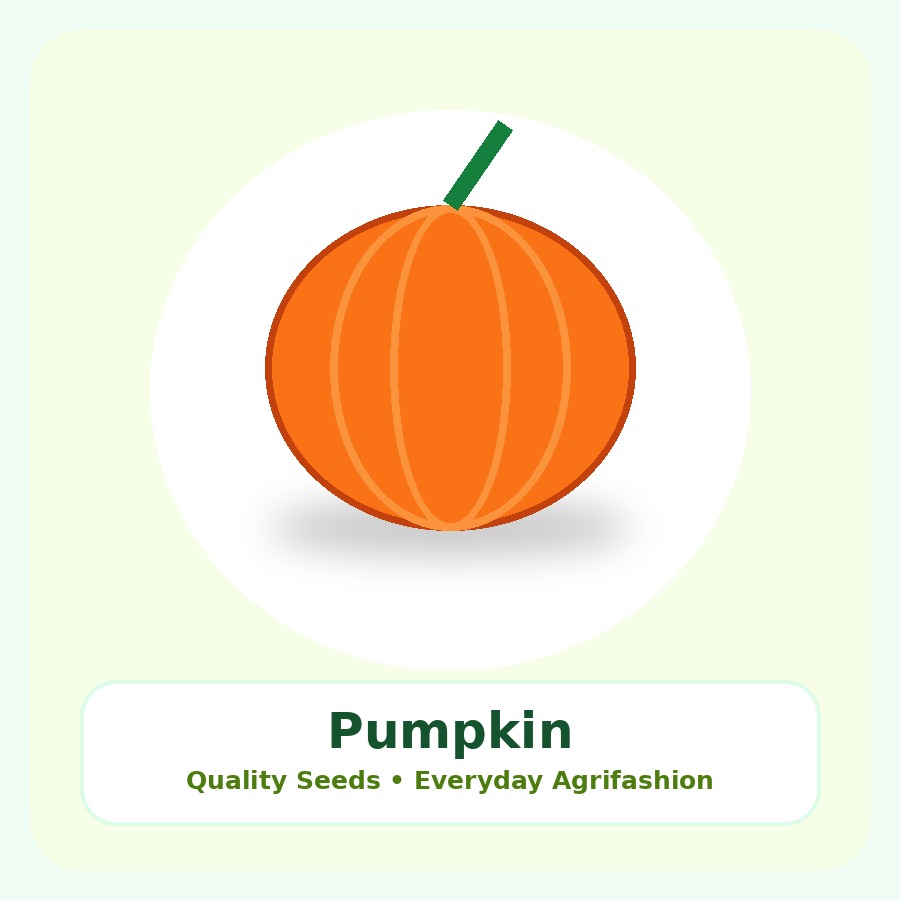 Pumpkin Seeds 100g
