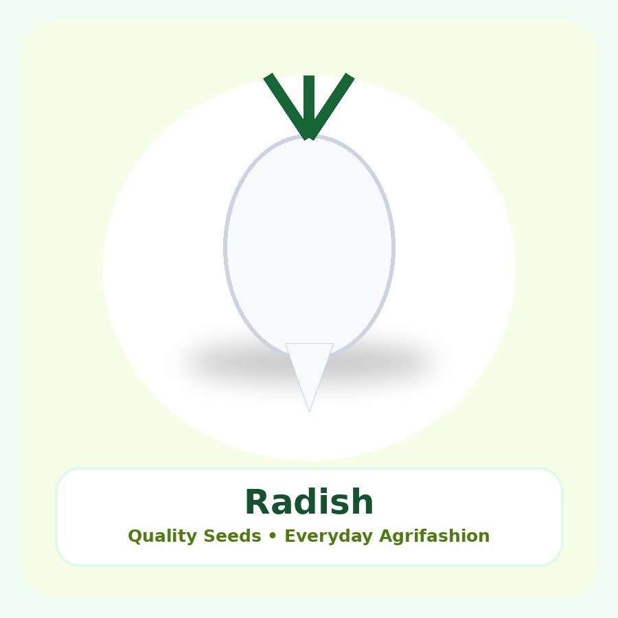 Radish Seeds 100g
