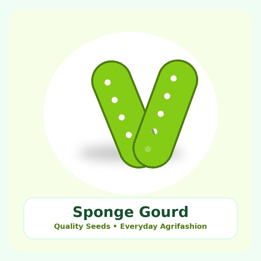 Sponge Gourd Seeds 250g